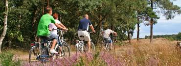 Fahrradtouren Comfort Hotel Luneburg