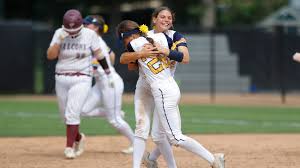 Image result for Sorindeia winkleri