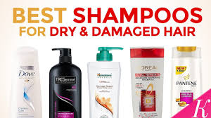 So the ingredients are simply just mayo and olive oil. 10 Best Shampoos For Dry Damaged Hair In India With Price Youtube