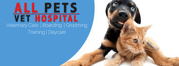You can see how to get to all pets veterinary hospital, pc on our website. All Pets Vet Hospital Startseite Facebook