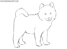 Start by drawing a circle for the head. How To Draw A Cute Dog Easy Drawing Art