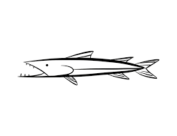 Clipart illustration of a parked 1968 barracuda, a muscle car by plymouth, in black and white by david rey Barracuda Coloring Pages Download And Print For Free