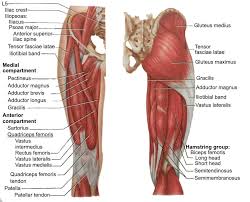 We did not find results for: Heup En Bovenbeen Klachten Not Your Typical Physiotherapist