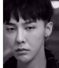 All Aboard The Blue Horizon Foxymations Wolf