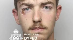 Police appeal for information about why a chicken crossed the road