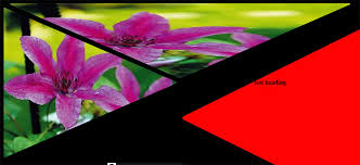 Download Svg Clippath Why Does Applying The Clip Path To A Div Have Different Results To An Image Stack Overflow