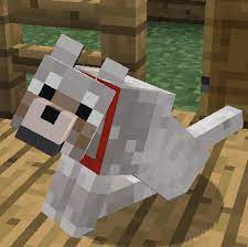 oyun boyutu minecraft kedi ve kopek evcillestirme