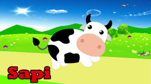 76 gambar binatang hitam putih gambar. Belajar Gambar Dan Suara Binatang Kartun Untuk Anak Anak Youtube