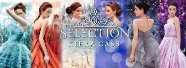 Image result for the selection series