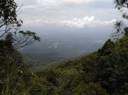 Pembangunan hutan penghutanan semula taman negara hutan simpan kekal. Tempat Menarik Di Johor Percutian Bajet