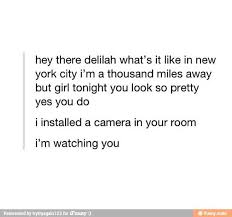 Hey There Delilah O O Funny Comments Really Funny Tumblr Funny