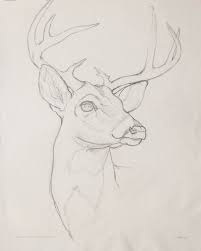 Pin On Drawings