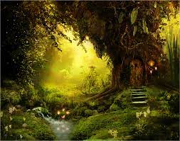 forêt magique de fée - fond d'écran le plus attrayant - 800x629 -  WallpaperTip
