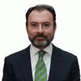 Luis videgaray caso (born mexico city, august 10, 1968) is a mexican politician who serves as the secretary of finance and public credit in the cabinet of enrique peña nieto. Luis Videgaray Caso As Coa
