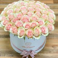 How to take care of million roses. Pink Roses Florpassion Box Million Roses Flower Box Milan Monza