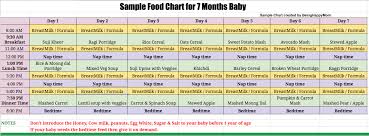 6 Month Baby Daily Food Chart