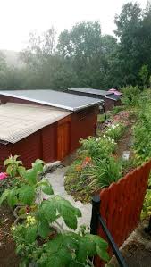 Gartenhaus / garten zu verkaufen? Verkaufe Gartenhaus Auf Pachtland In Ilmenau Muhlhausen Thuringen