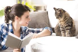Je me déplace à votre domicile en seine et marne et j'assure la garde de votre chat (sortie, jeux, repas, soins). Garde De Chat A Domicile Modalites Acteurs Tarifs Ooreka