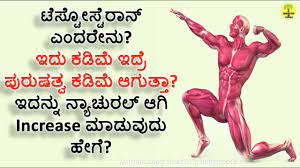 Meanings of health in kannada. What Is Testosterone And How To Increase Testosterone Naturally Explained In Kannada Tvvideo Dailyhunt