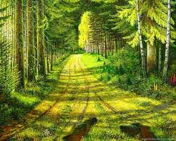 Set as background add to favorite add to folder. Beautiful Forest Path Wallpapers Desktop Background
