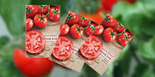 Untuk anda yang memiliki riwayat penyakit darah tinggi cobalah untuk mengelolanya dengan mengubah gaja hidup. 6 Masker Wajah Dengan Kandungan Ekstrak Sayur Bernutrisi Super Merdeka Com