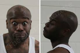 Houston County Crime