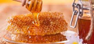 Is cuttlefish halal in islam / is squid halal quora : Q Id0513 Are Octopus Cuttlefish Tattler And Shrimp Halal To Eat Seekerspath