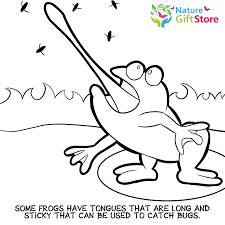 Your tongue lets you taste many different things, like bitterness, saltiness or sweetness. Printable Coloring Pages Nature Gift Store