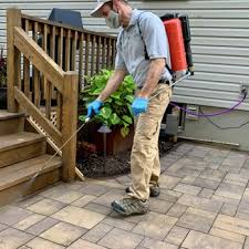Pricing for pest control treatment varies. Affordable Pest Solutions Request A Quote 11 Photos Pest Control Budd Lake Nj Phone Number