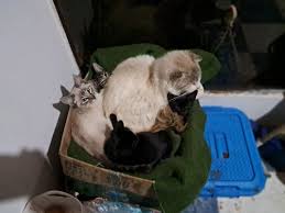 Wilmar Rincon (WRinconNavarro@)