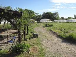Une association de lutte contre l'exclusion sociale. Jardins De Cocagne Wikipedia