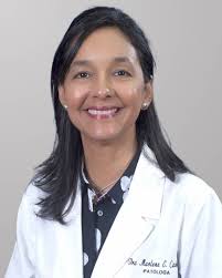 Directorio Corominas