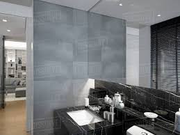 The bathroom has interesting retro elements: Modern Bathroom With Black And White Marble Sink Stock Photo Dissolve