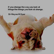 It's in a constant state of decay. Funny Quotes About Change Management Daily Quotes