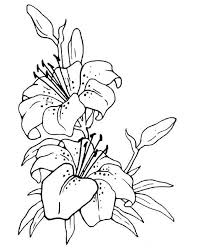 Feb 10, 2020 · disegni. Eskizy Cvetov Dlya Risovaniya Shablony Ochen Krasivye Cvety Shablony Dlya Tvorchestva Obsuzhdenie Na Disegno Fiori Fiori Disegnati Da Colorare Ricamo Disegni