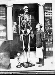 It sounds quite tough, right? Giants In West Virginia Legends Of America