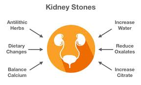 naturopathic protocol for kidney stones nhp assist