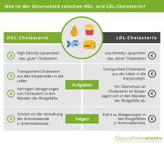 Hdl Wert Bedeutung Normalwerte Im Blutbild Steigerung