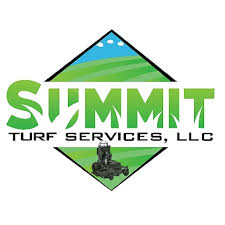 Looking for lawn care near me? Why You Should Hire A Lawn Professionals Vs Mowing Your Own Yard