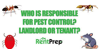 It is profitable and grows quickly. Who Is Responsible For Pest Control Landlords Or Tenants Rentprep