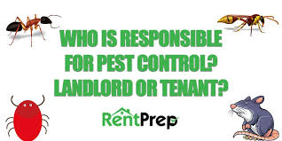 How much profit can a pest control service make? Who Is Responsible For Pest Control Landlords Or Tenants Rentprep