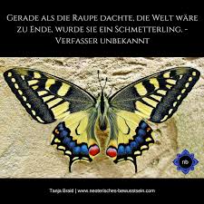 Pin Auf Spirituelle Zitate Spruche Weisheiten Moderne Spiritualitat
