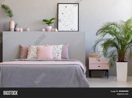 Maybe you would like to learn more about one of these? Plant Cabinet Next Bed Image Photo Free Trial Bigstock