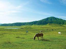 Fully enjoy the great nature of Mt. Aso! Special edition of Mt. Aso charm,  which can be enjoyed even at night!