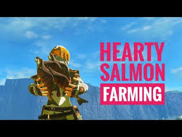 Let your cooked salmon meuniere cool, and then place it in an airtight storage container in the refrigerator for up to 2 days. Botw 999 Hearty Salmon Farming Youtube