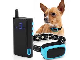I know that's radical, but i'm out of ideas. Exuby Shock Collar For Small Dogs 5 15lbs Rechargeable Newegg Com