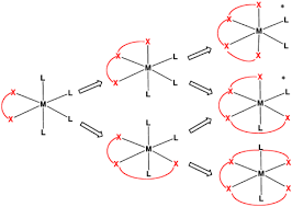 Monodentate refers to a ligand that bonds to the central transition metal at one point. Denticity Wikipedia