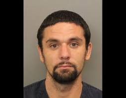 Stockbridge man sentenced to life in brutal stabbing