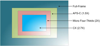 Sensor Size Crop Factor Northrup Photo