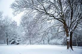People (especially kids) are fond of this time because of its beauty, slight it comes after winter season and before summer season. Winter Seasons Free Stock Photo Public Domain Pictures